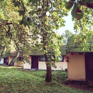 120877236_805404310219760_5587578858171584405_n