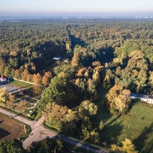 121063690_805401106886747_5764960342700315174_n