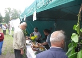 IMG_1987.JPG