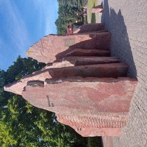 20220730_152833