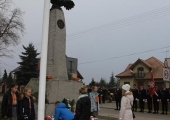 IMG_8516.jpg